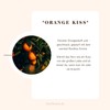 Rooibo Tea Organic "Orange Kiss" Rooibo Tea with a Touch