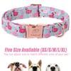 Babole Pet Adjustable Summer Dog Collar - Cute Pink Flamingo