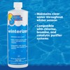 In The Swim Pool Closing Kit - Winterizing Chemicals for