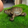 RELKLYU 2 Simulated Turtle Models, Garden Decoration Embellishments, Garden Landscaping,