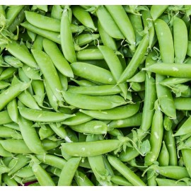 Axel's Garden Seeds Pea Seeds - Heirloom Early Harvesting Non-GMO, Free Shipping, Sugar Snap Variety - 5 Seeds