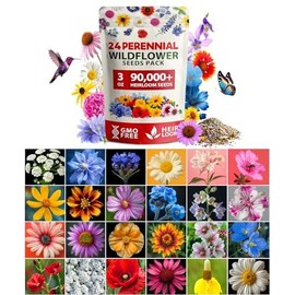 Home Grown Wildflower Seeds Bulk Seeds Mix 3oz (Pure Seeds - No Filler) Attracting Bees, Birds & Butterflies 24 Varieties for Flower Garden - size: Perennial - 3oz
