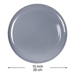 Youngever 10 Inch Plastic Plates, Large Plates, Dinner Plates, Set of 9 (Dark Grey)