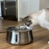 The KittySpout Stainless Steel Cat Water Fountain 2.0, 4L/135oz