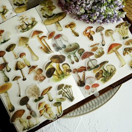 60PCS Mushroom Laptop Stickers Decals, Doraking DIY Mushroom Plants Decoration Stickers Decals for Windows, Refrigerator, Decoration (Mushroom Collection, 60PCS/Pack)