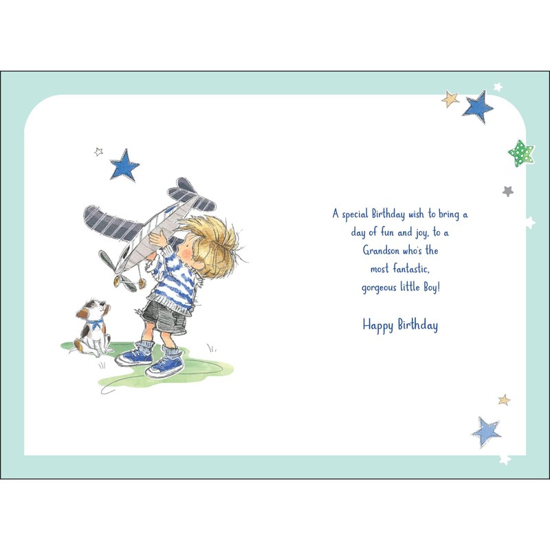 Jonny Javelin Wonderful Grandson Birthday Card - Happy Birthday Card