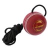 SS Legend Hanging Ball for Bat Knocking,Practice with Reaction String,