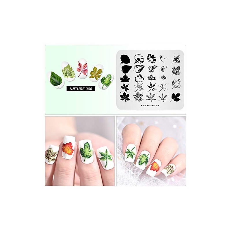 KADS Templates for Nails Leaf Nature Fall Stamping Plates Image
