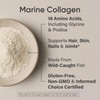 Sports Research Marine Collagen Peptides Powder - Sourced from Wild-Caught