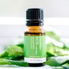 ECO. Modern Essentials Spearmint Pure Essential Oil, 10ml
