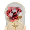 Rose in Glass Dome Lucky Beautiful Symbolism Romantic Enchanted Rose