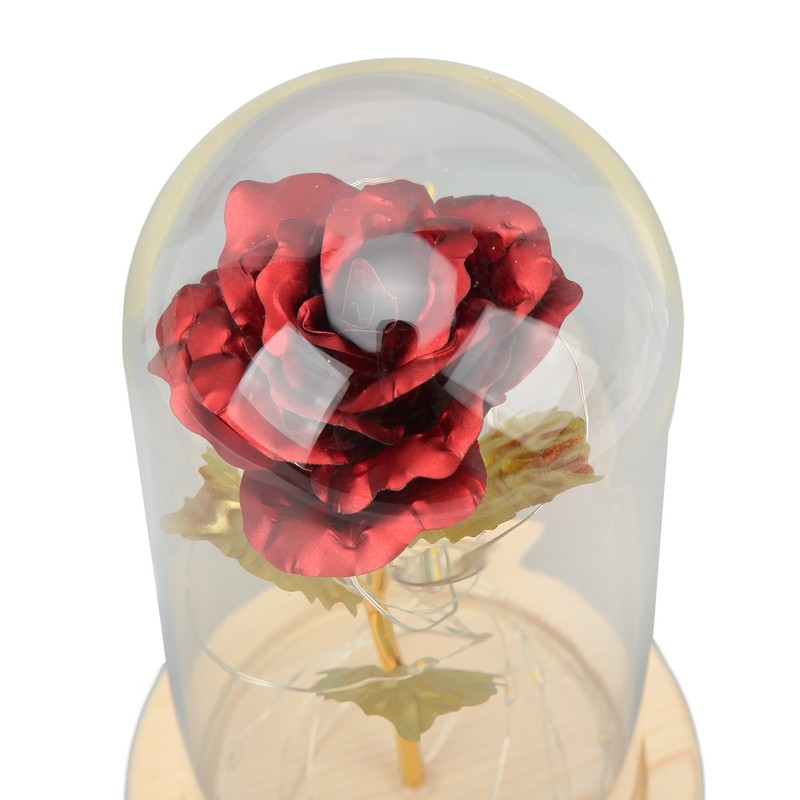 Rose in Glass Dome Lucky Beautiful Symbolism Romantic Enchanted Rose