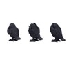 Nemesis Now Three Wise Ravens, Black, 8.7cm (B6023V2)