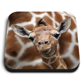 1 x Square MDF Fridge Magnet - Cute Baby Giraffe Face Wildlife 12323