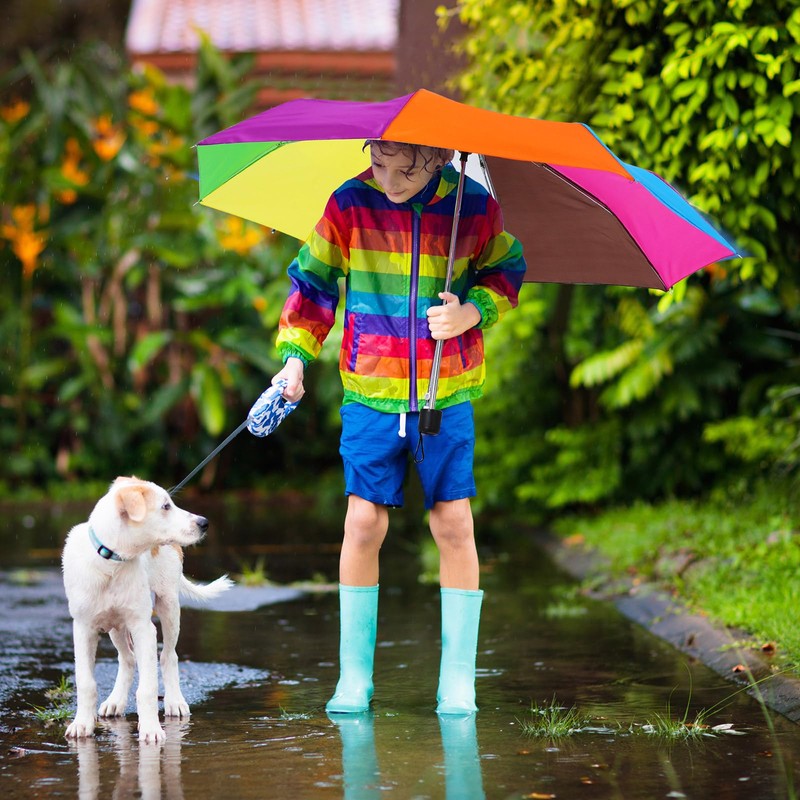 Silkfly 24 Pcs 8 Rib Rainbow Umbrella Bulk Compact Portable