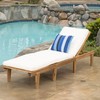 Christopher Knight Home Ariana Acacia Wood Chaise Lounge with Cushion,