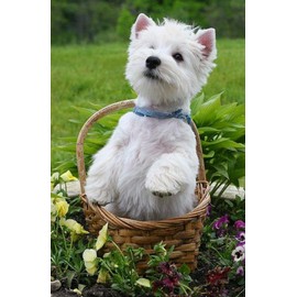 Westie Dog Pet Animal Jigsaw Puzzle for Adults 1000 Pieces Wood Puzzle Art DIY Toy Gift Fun Challenging Educational Gift Art Home Decor