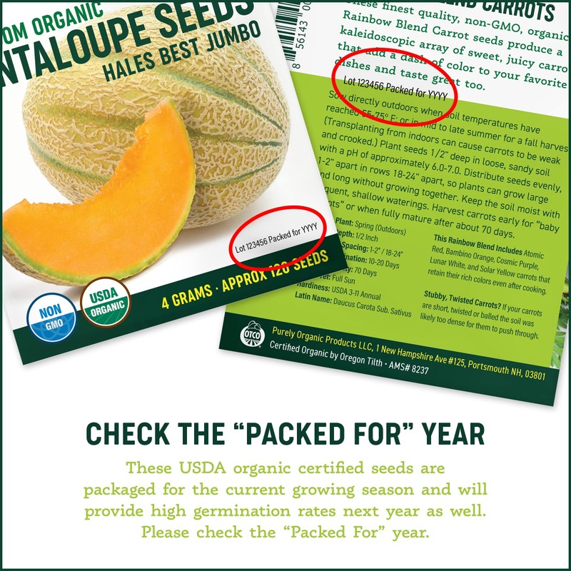 Organic Pinto Bean Seeds - USDA Organic, Non-GMO, Open Pollinated,