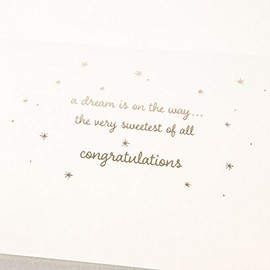 Sleeping Bunny and Moon -Congratulations on Your Baby