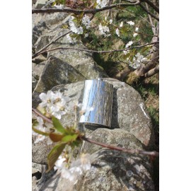 Plain Pewter Kidney Flask, Hip Flask in 6 Sizes with an Engraving Option (10 Ounces)