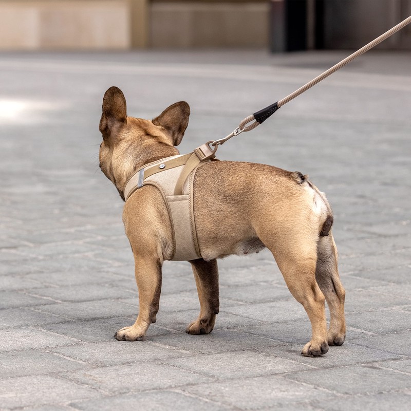 Vest Harness Curli Clasp Cord Tan L