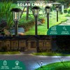 ILANCK 12 Pack Solar Lights Outdoor, 6000K Solar Pathway Lights