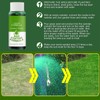 Lawn Liquid Grass Seed Spray Liquid Formula - Quantity: 4