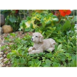 Fairy Garden Puppy Waggs