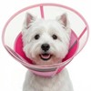 KOESON Dog Cone Collar with Adjustable Drawstring, Reflective & Soft