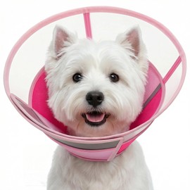 KOESON Dog Cone Collar with Adjustable Drawstring, Reflective & Soft Dog Cone for Small Dogs, Clear Pet Recovery Cones for Wound Protection, Lightweight & Breathable Elizabethan Cone for Puppies