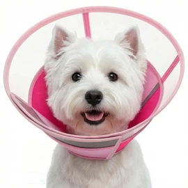 KOESON Dog Cone Collar with Adjustable Drawstring, Reflective & Soft Dog Cone for Small Dogs, Clear Pet Recovery Cones for Wound Protection, Lightweight & Breathable Elizabethan Cone for Puppies