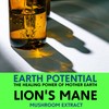 Premium Organic Lion's Mane Mushroom Tincture - Boost Cognitive Function