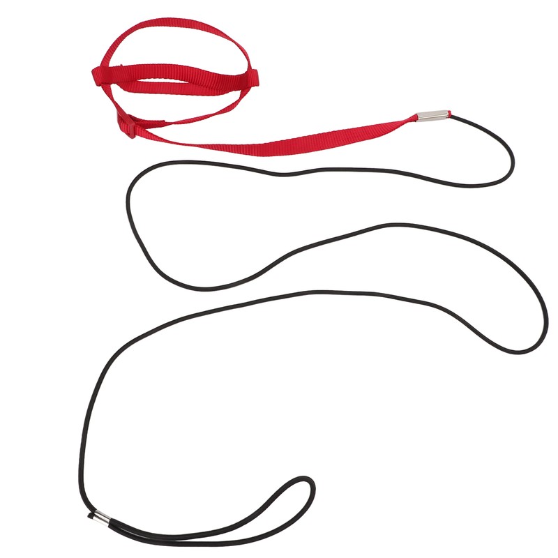 Bird Leash Bite Resistant Adjustable Parrot Flying Training Rope for