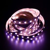 RGBW RGB+W 6000K LED Strip 4in1 Chip 500cm 5m ;