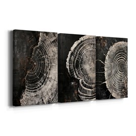 Renditions Gallery Circular Patterns Wall Art Monochrome Shadows Of Time wall decor Canvas Prints & Paintings for Restaurant Office School - 12"x18"x3panels GAL056