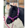 POLKA DOT HEADCOLLAR WITH LEAD ROPE FULL-MINI SHETLAND (Raspberry, Full)