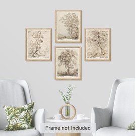 SIGNWIN Poster Vintage Landscape Sketch Prints by 16th-Century Antique Tree Wilderness Nature Illustrations Fine Art Decorative Country/Farmhouse Vintage for Living Room, Bedroom, Office - 12"x16"x 4