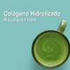 COLAGENO HIDROLIZADO CON MATCHA FUJIRO EN POLVO 30 DIAS