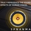 spnanma 6.5" Carbon Fiber Low Frequency Speaker with Copper Voice