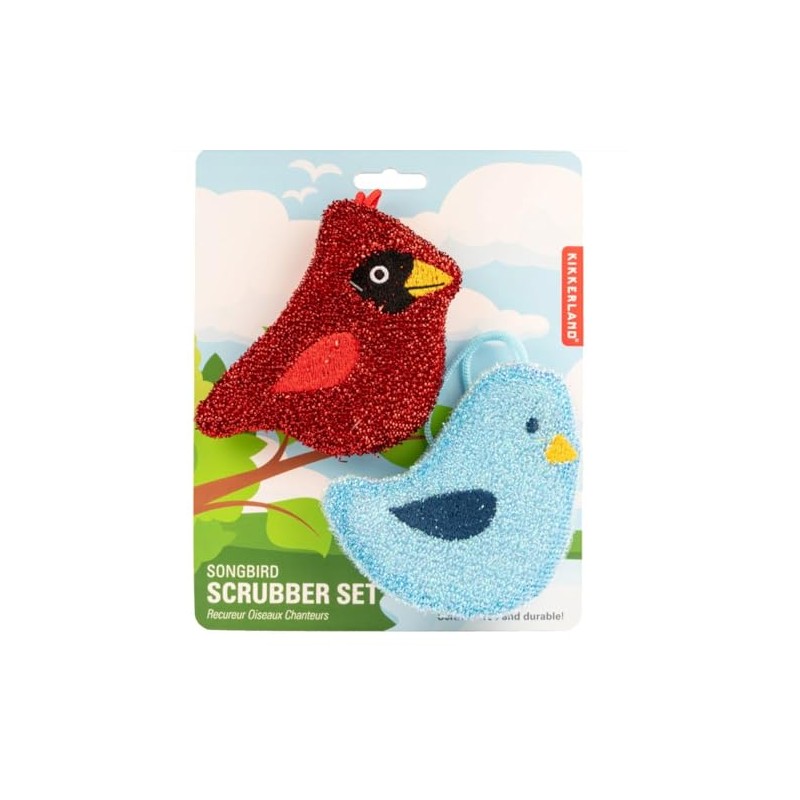 Funny Beautiful Dish Sponge 5 Designs, Kitchen Sponge for Pot,