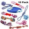 The Famous Dolphin MFR 10pcs Healthy Dog Pet Chew Toys