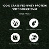 Paleovalley 100% Grass Fed Whey Protein