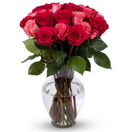 Benchmark Bouquets Blushing Beauty Roses, With Vase (Fresh Cut Flowers),24 Count (Pack of 1)
