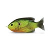 Sunfish Bluegill Hollow Body Topwater Lure 3" Pumpkinseed N Fishing