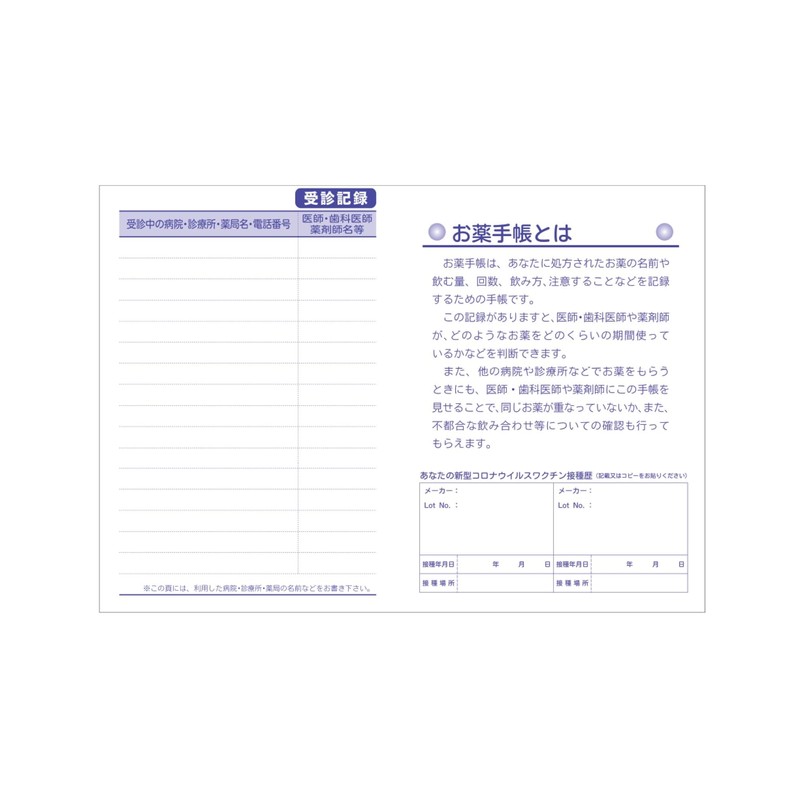 Rilakkuma RK301-01 Rilakkuma Komorebi Camping/Fruit/Airplane, 36 Pages (A6 Size)