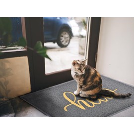 T.HENV Door Mat Outside Entrance, Waterproof Outdoor Indoor Hello Welcome Doormat, Funny Cute Dog Cat Front Door Mat for Entryway Floor, Low Profile, Patio Porch Mat, 36x24, Grey-Gold