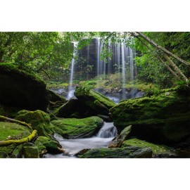 ZatiasMiller Waterfall Terrarium Background Tropical Rainforest Aquarium Background Green Tree Mountain Lake Reptile Habitat Background Stone Moss Nature Landscape Background Decor Vinyl 24x16in