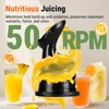 Ventray Slow Masticating Juicer Machine, 5.1" Extra Large Feed Chute