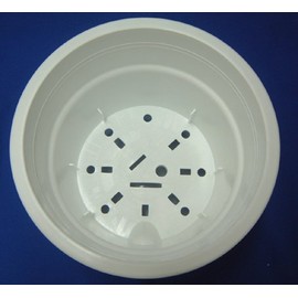 Bottom Water Supply Plastic Pot No. 6 with Translucent Saucer, Set of 1