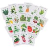 Sereniseed Certified Organic Vegetable Seed Collection (20-Pack) – 100% Non